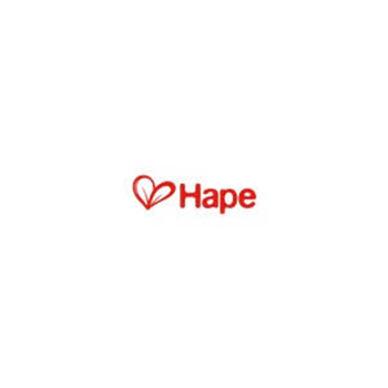Hape International Inc. discount codes